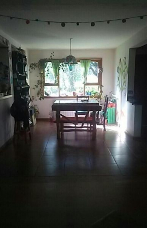 Casa bosque de maitenes